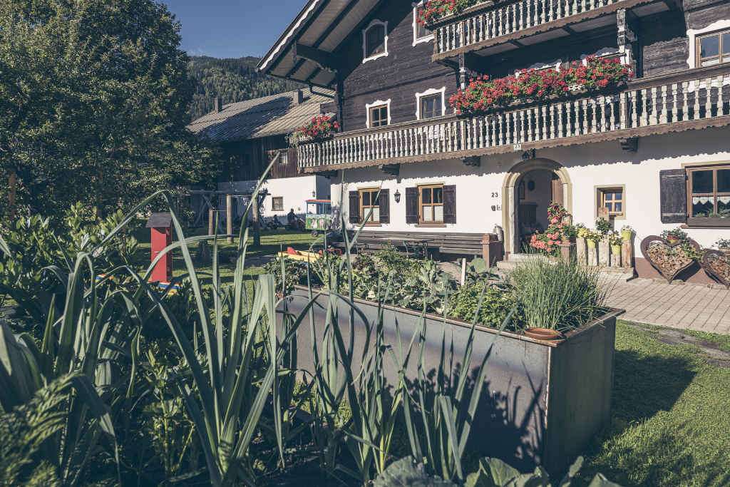 scharrerhof pinzgau scharrerlehen sommer
